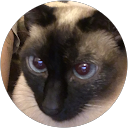 Çiğdem Çepe profile picture